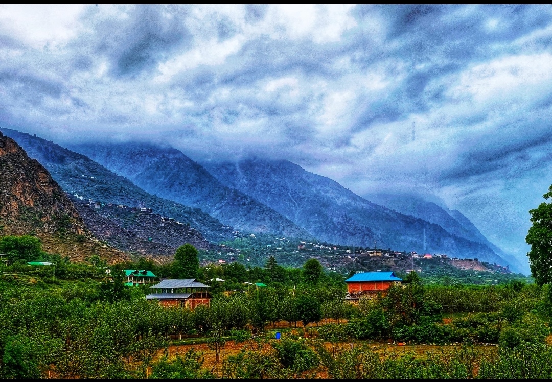 Apple orchards under monsoon clouds, Sangla